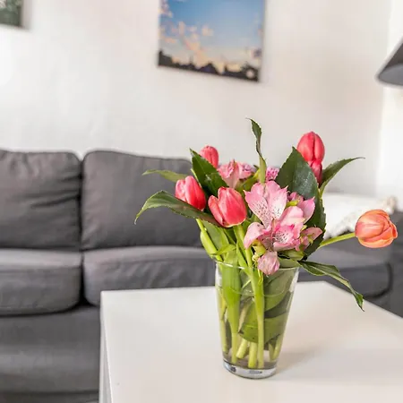 Apartment Weisse Stadthaus